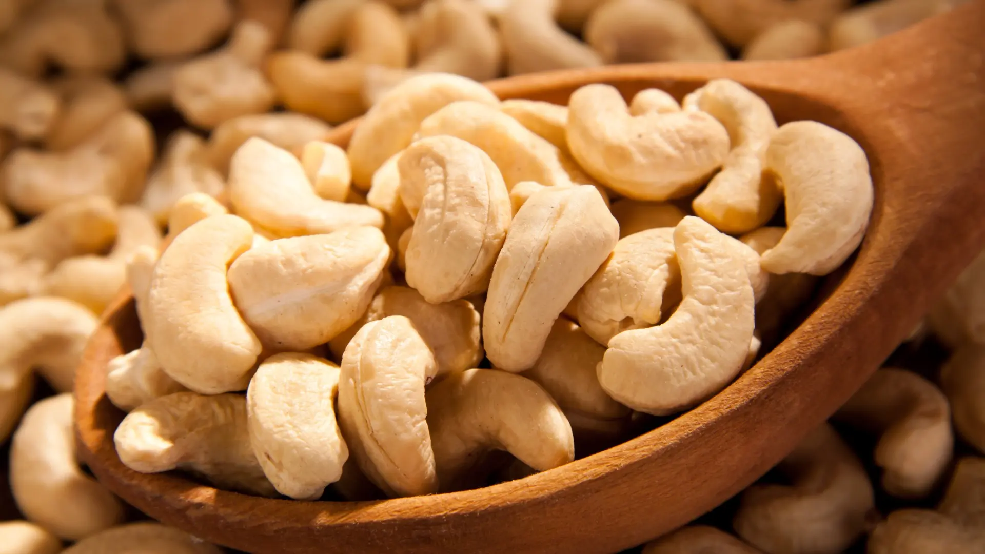 Processed cashews scooped in a wooden spoon